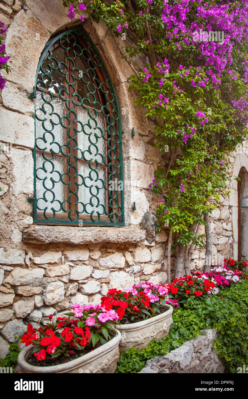 Flowering vine grows on wall of home in historic Eze, Provence France Stock Photo