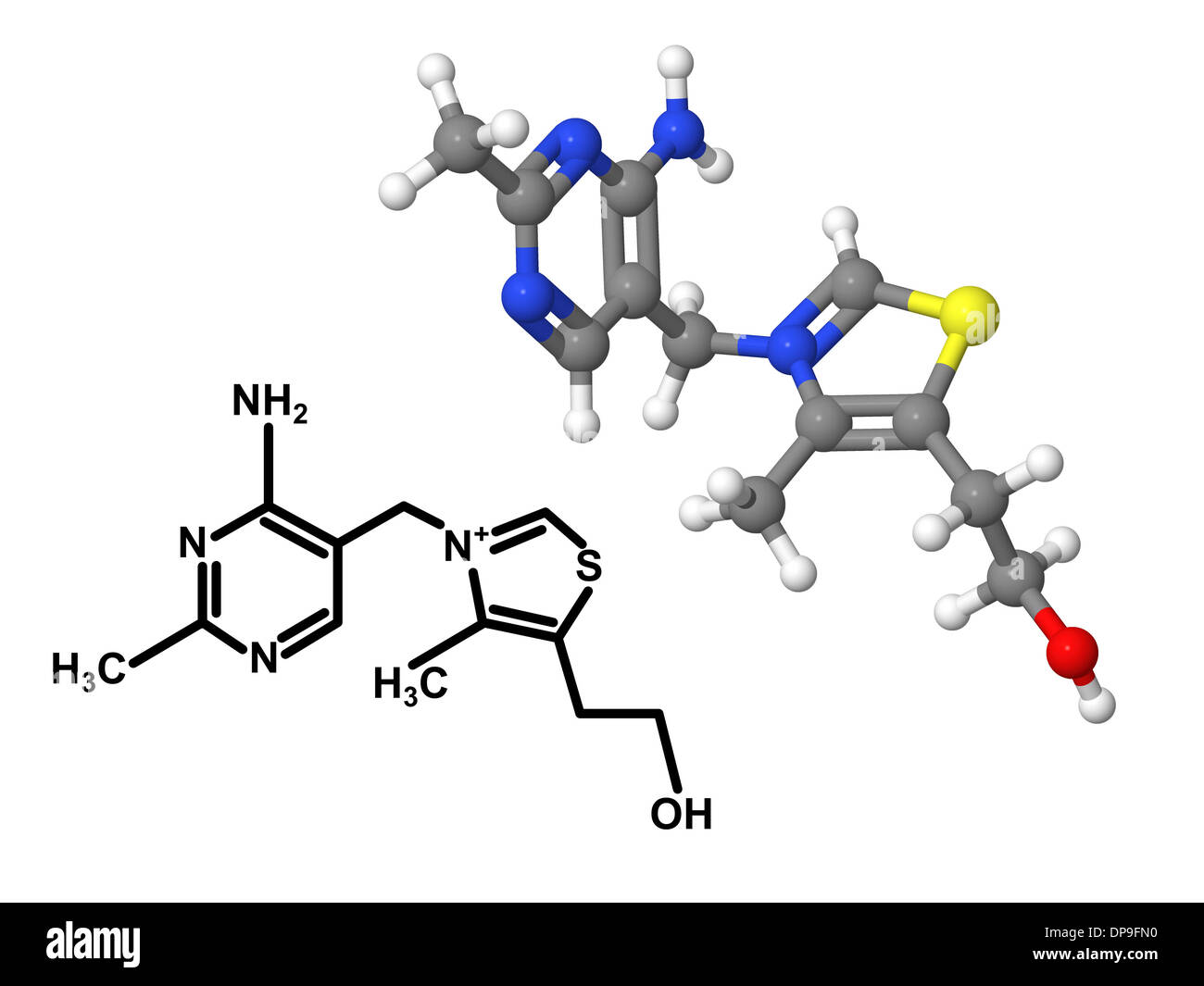 Vitamin B1 (Thiamine) molecule with chemical formula isolated on white