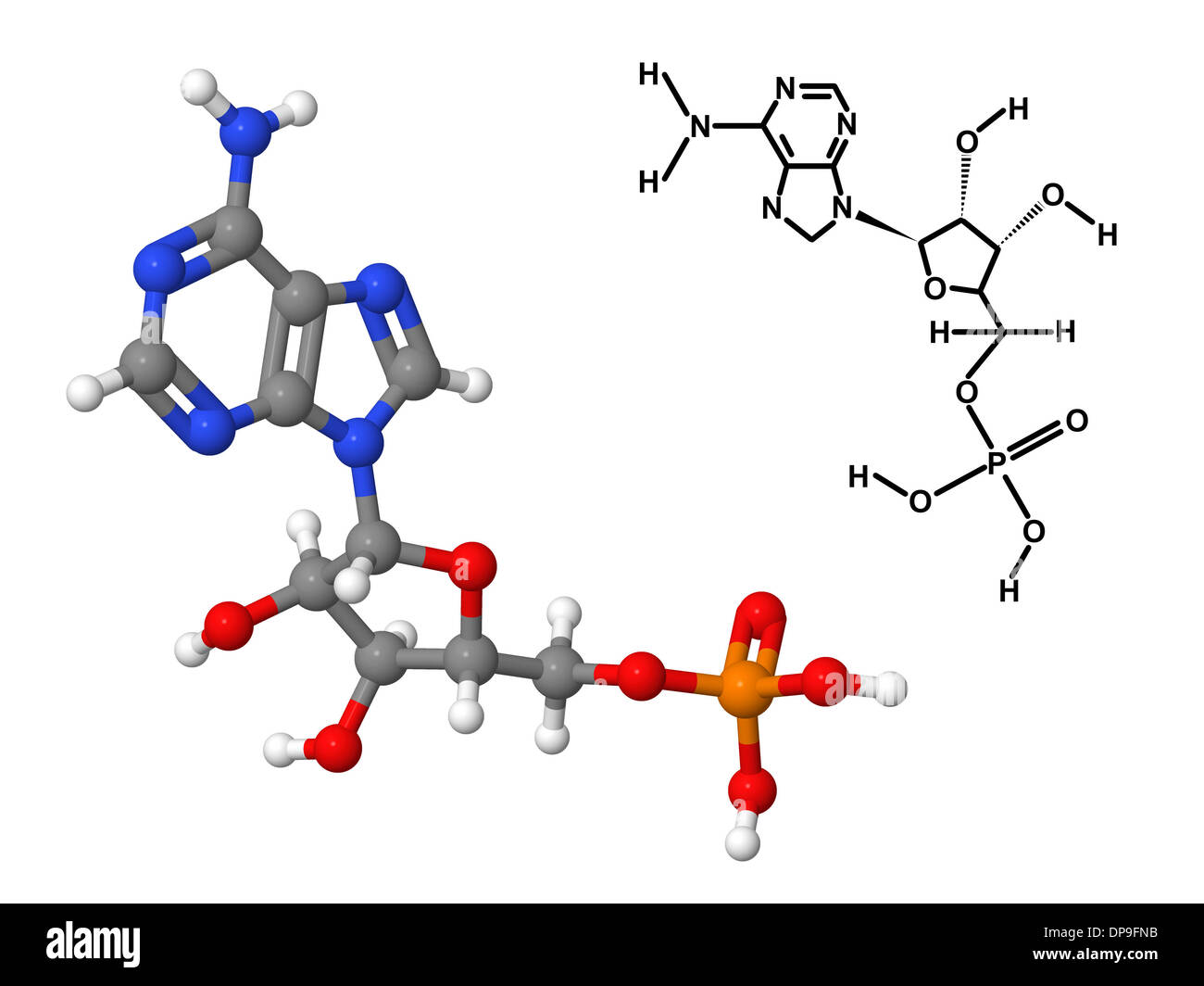 Vitamin B8 molecule with chemical formula isolated on white background ...