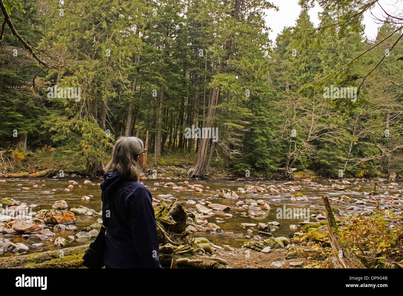 Enjoying her view.  A mature adult woman enjoying her view while hiking in the woods on the Snoqualmie river. On an autumn day. Stock Photo