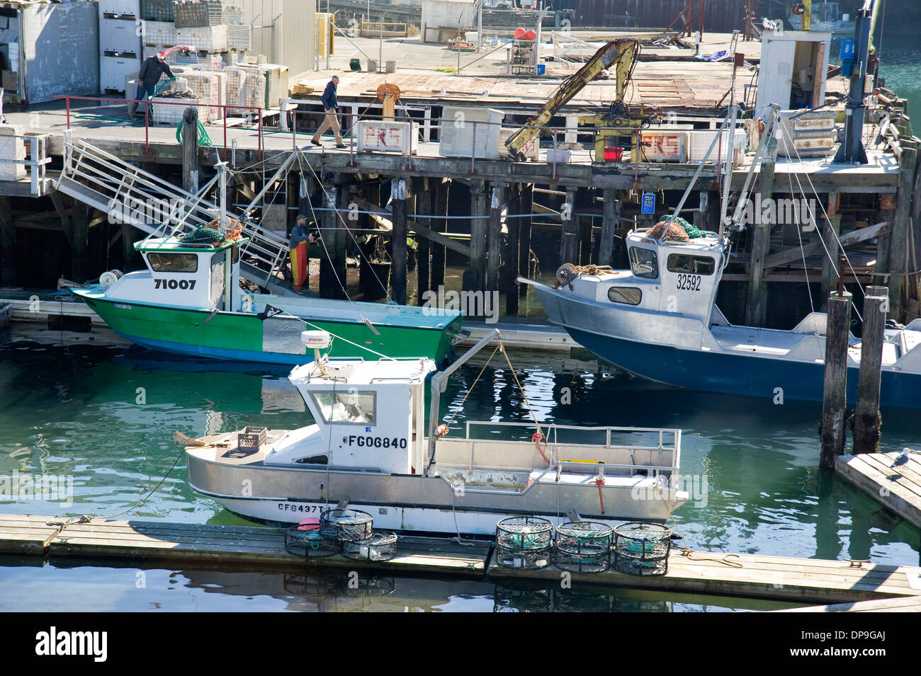 フォートブラッグの土　Fort Bragg フォートブラッグの土 Fort Bragg California Historical
