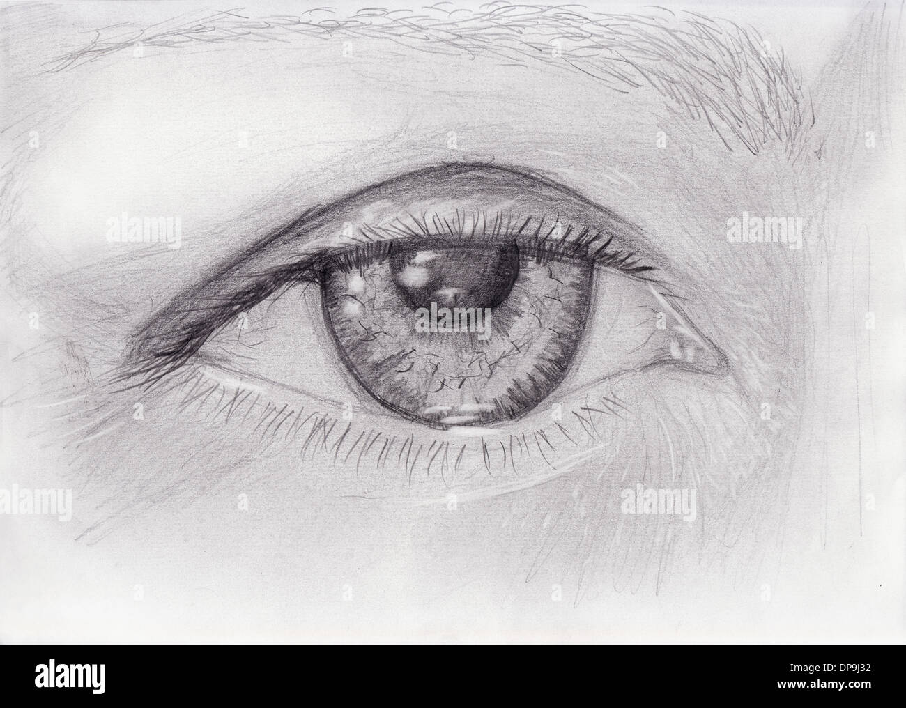 pencil drawing of woman eye Stock Photo - Alamy