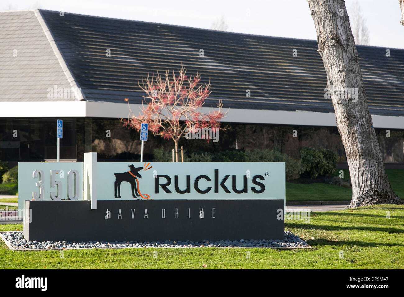 Ruckus office