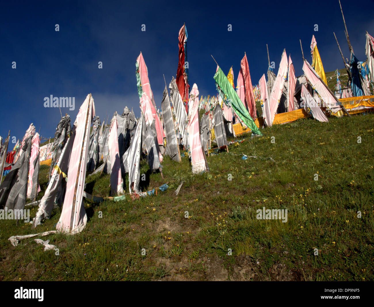 Lungta and Darchor Tibetan Buddhist prayer flags in Tibet, China. Stock Photo