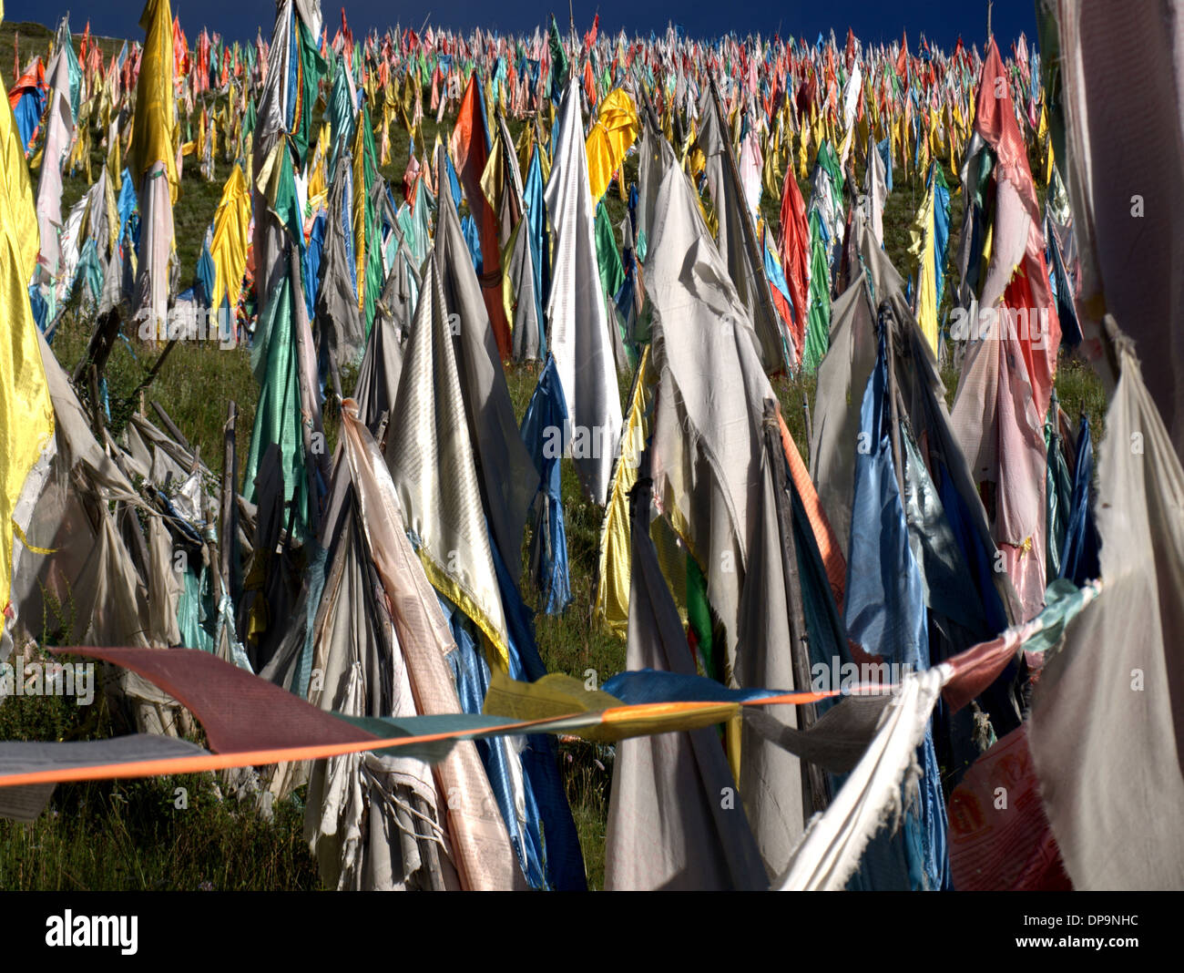 Lungta and Darchor Tibetan Buddhist prayer flags in Tibet, China. Stock Photo