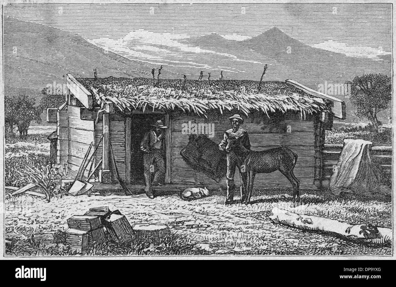 Settlers' hut, California Stock Photo
