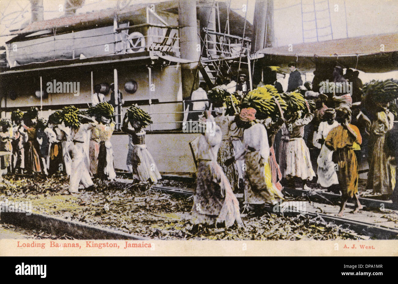 Loading Bananas onto a ship Kingston, Jamaica Stock Photo Alamy