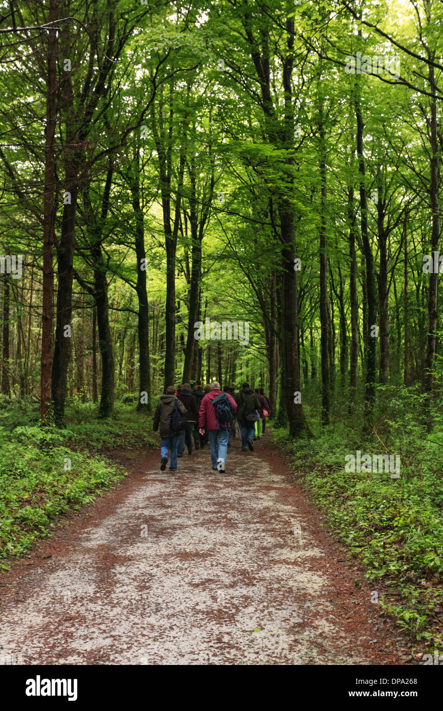 Ireland walkers hires stock photography and images Alamy