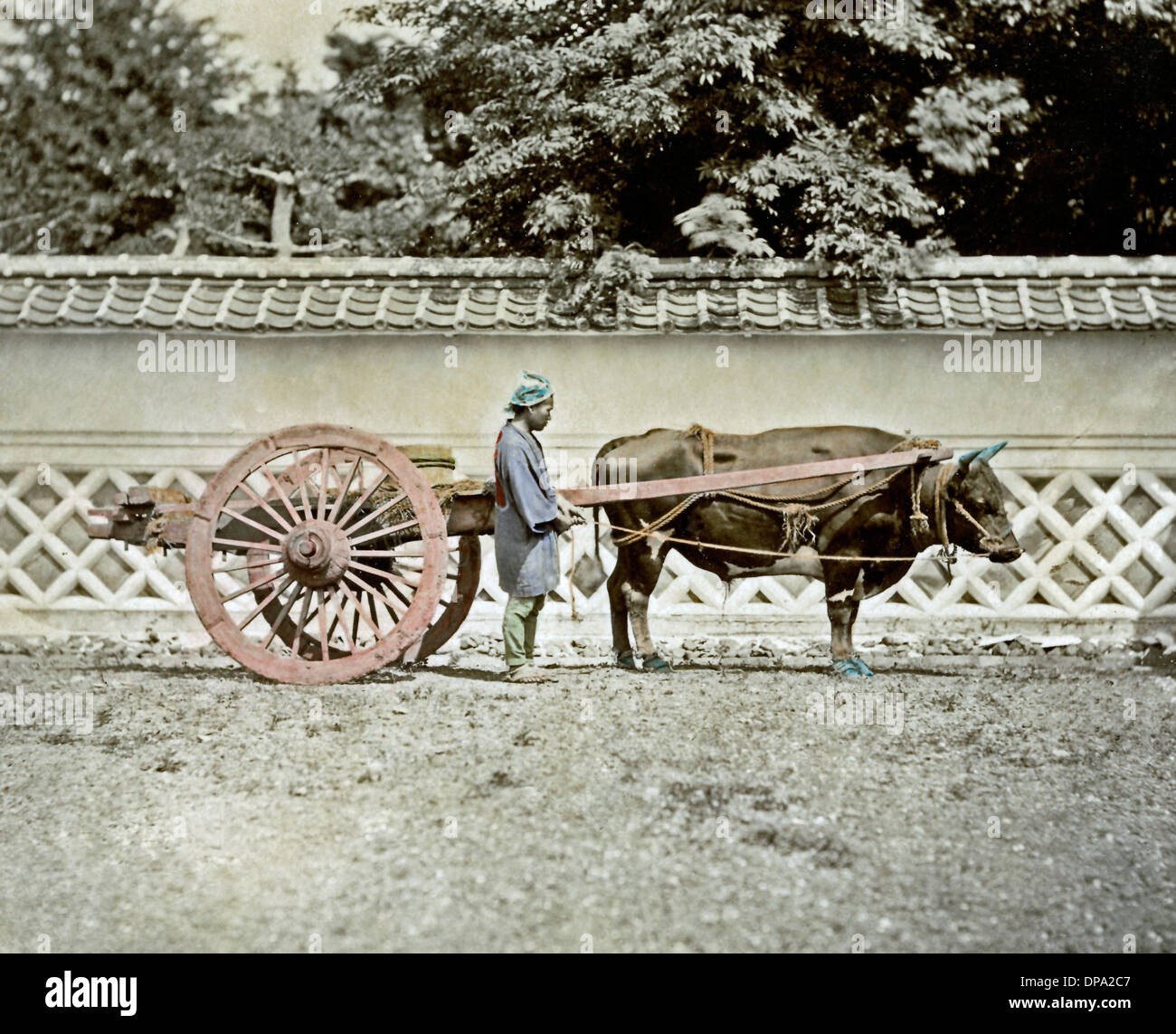 Bullock Cart, Japan Stock Photo