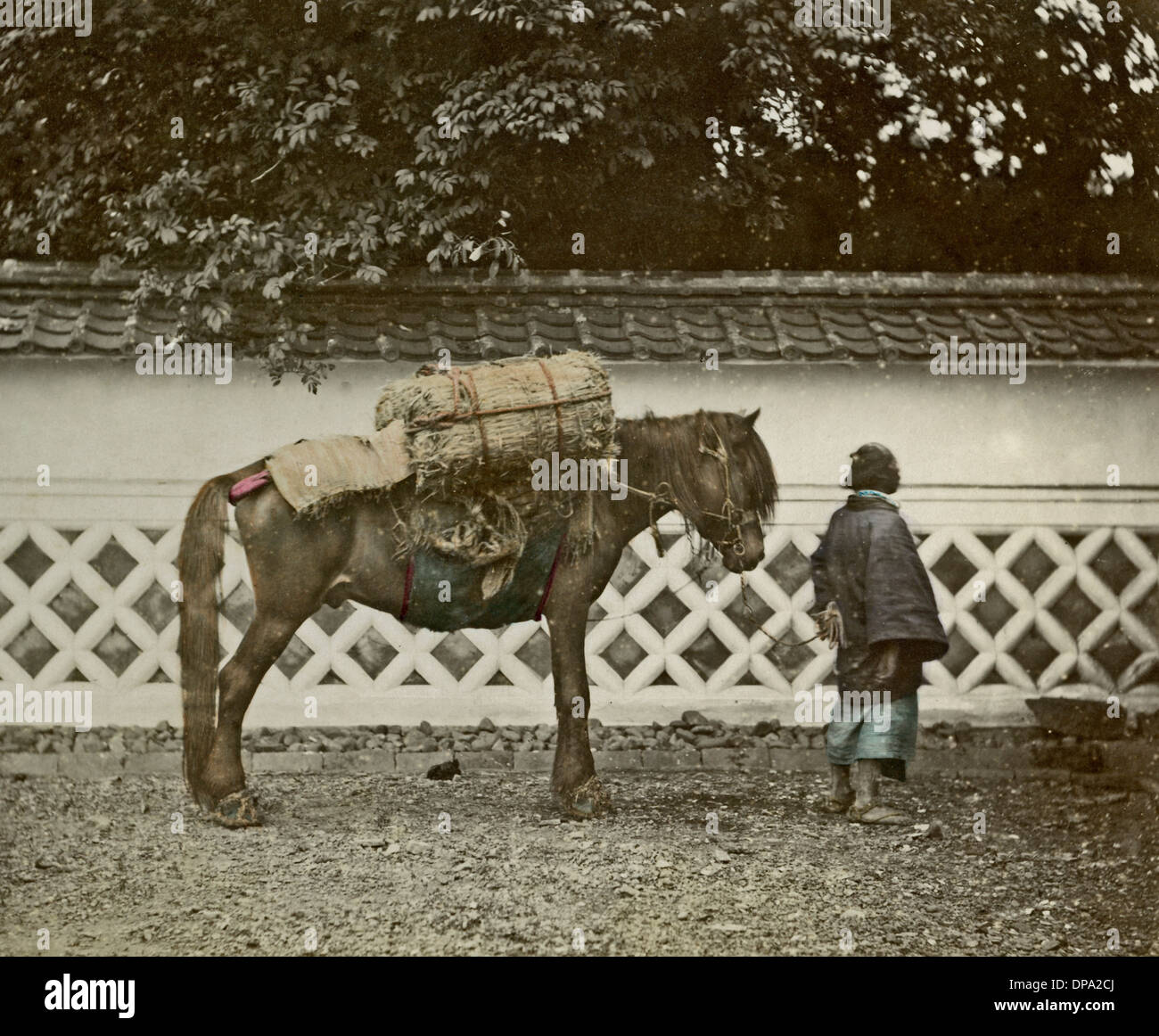 Pack horse, Japan Stock Photo Alamy