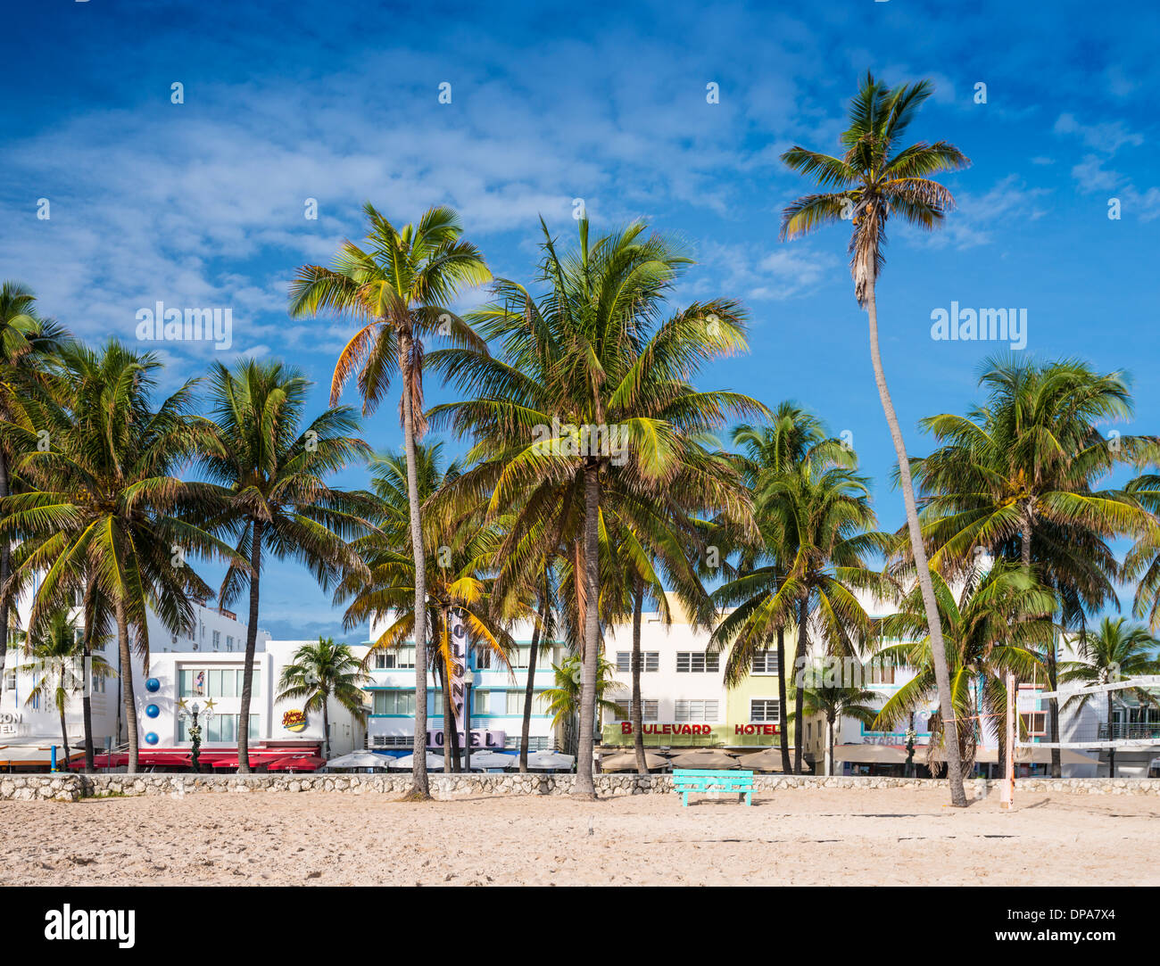 MIAMI, FLORIDA - JANUARY 6, 2014: Palm trees line Ocean Drive. The road is the main thoroughfare through South Beach. Stock Photo