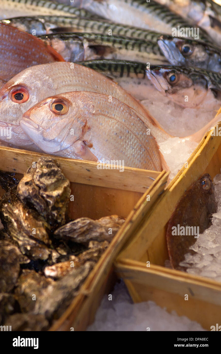 Fish stall at market / North Shields Fish Quay Stock Photo