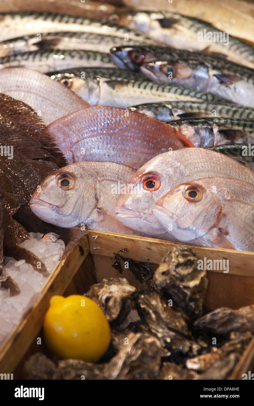 Fish stall at market / North Shields Fish Quay Stock Photo Alamy