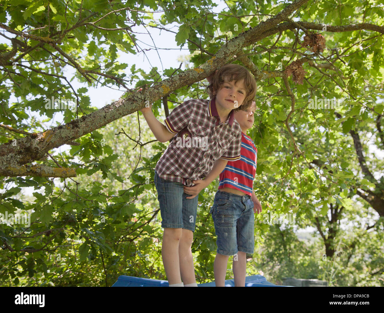 Boys sitting on roof of tree house Stock Photo