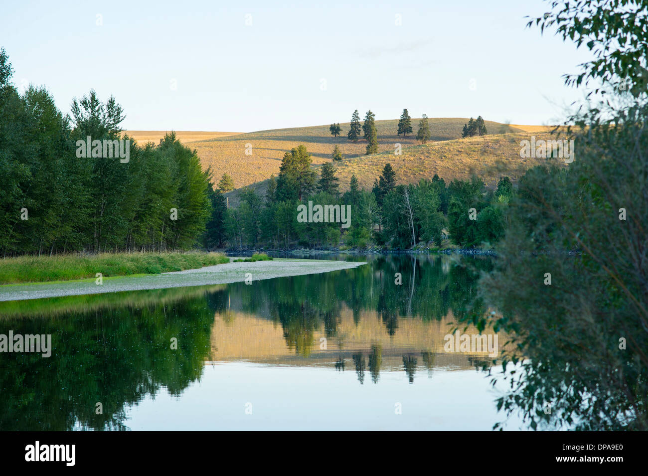 Bitterroot River Montana High Resolution Stock Photography And Images Alamy