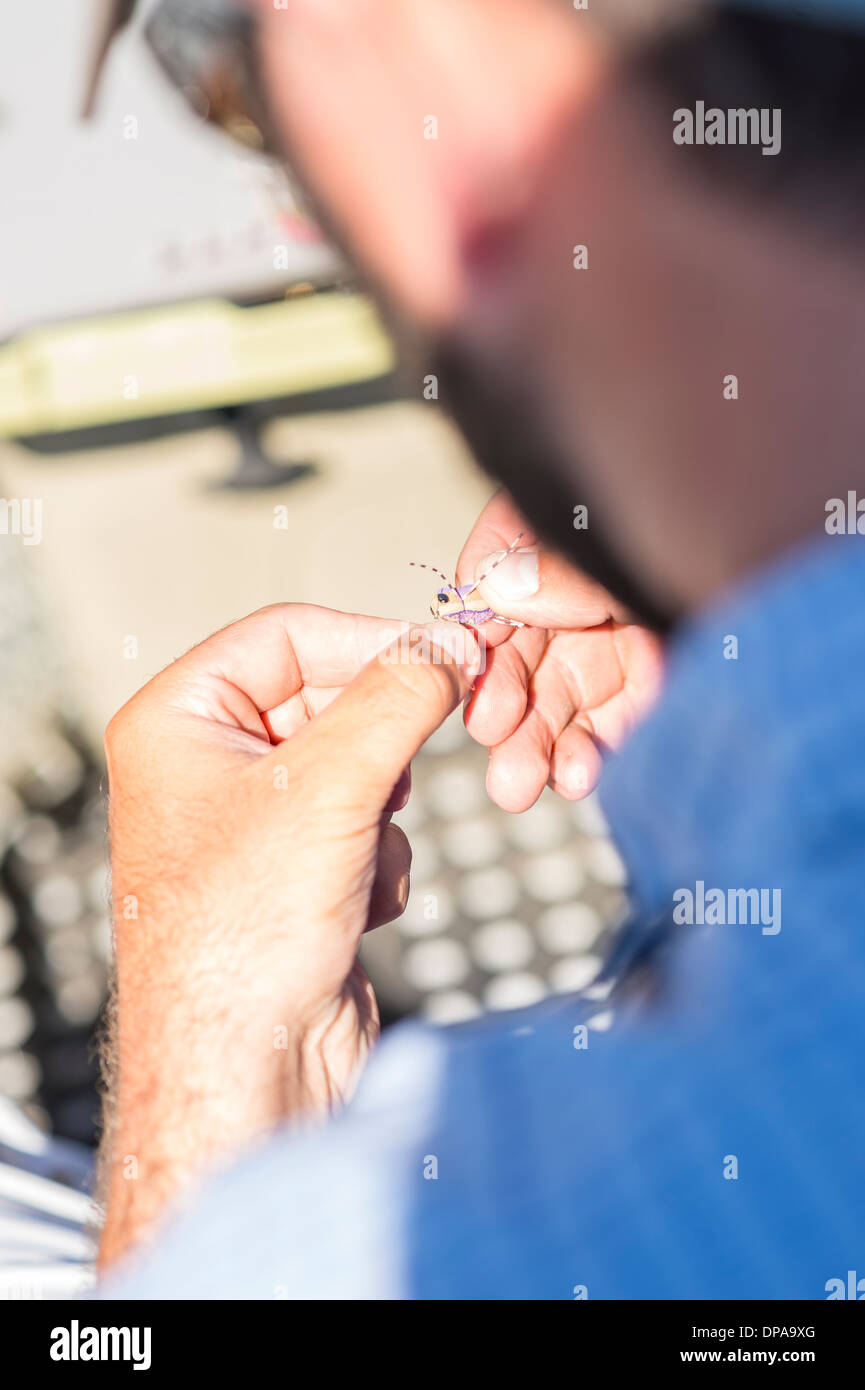 Man tying flies in a boat on a fly fishing trip. Stock Photo