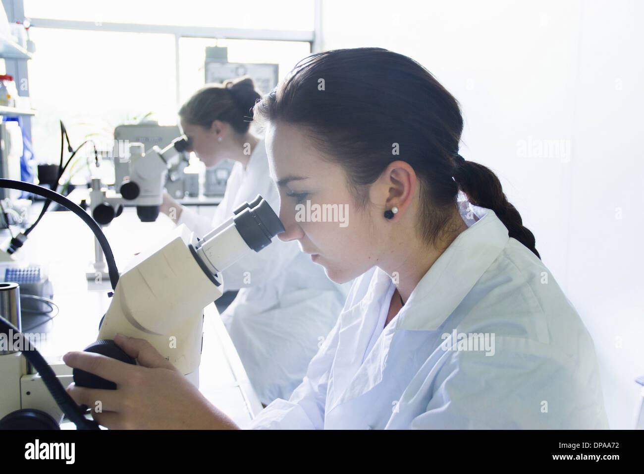 Biology students using microscopes Stock Photo