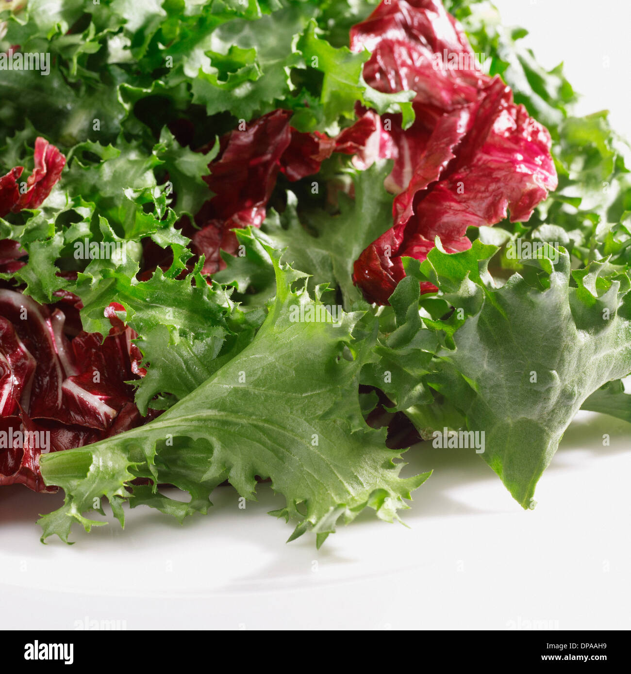 Mixed salad leaves Stock Photo