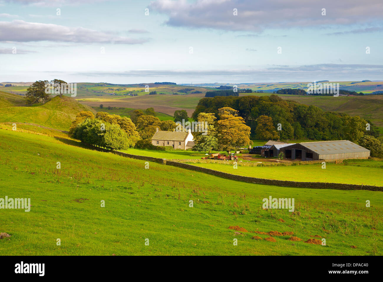 Walltown farm near Hadrian’s Wall National Trail, Northumberland England United Kingdom Great