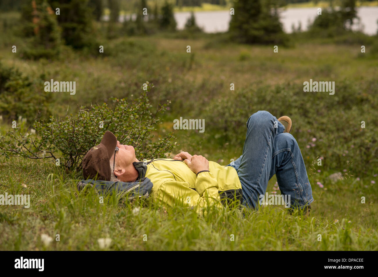 Old man napping in a field Stock Photo - Alamy