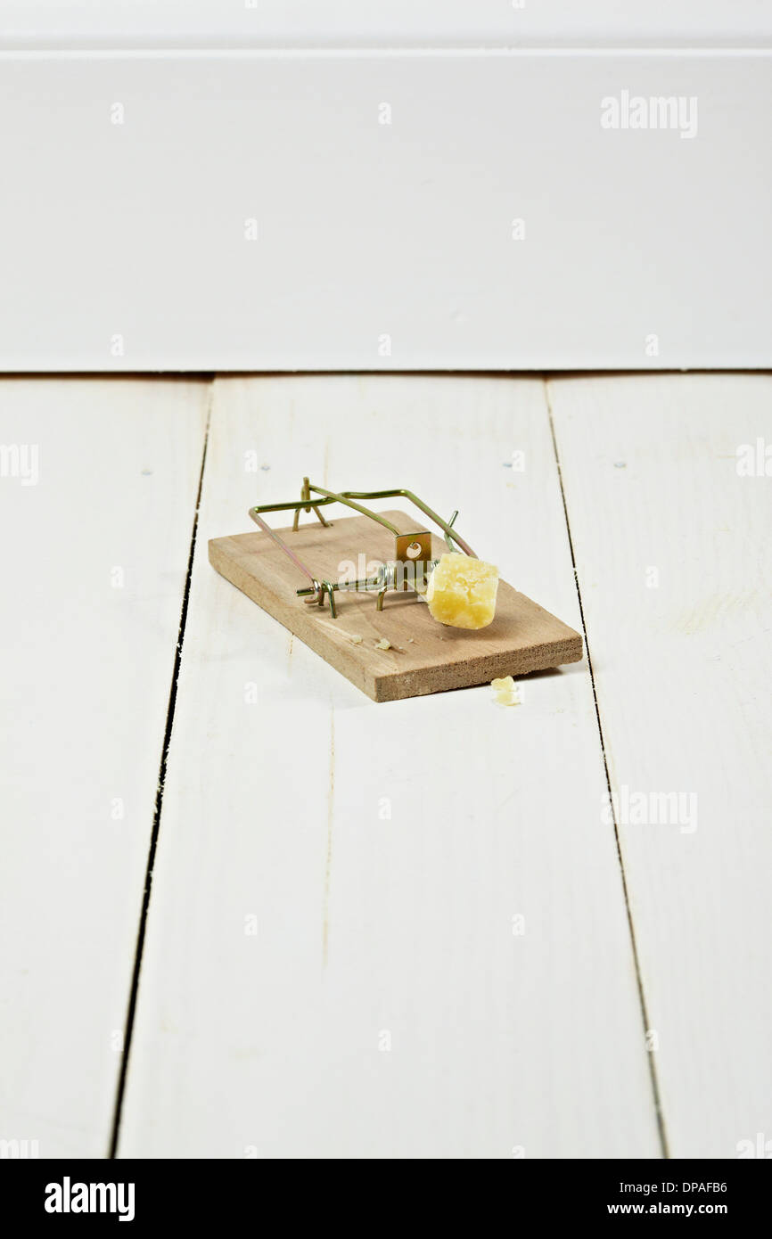 Piece of cheese in mousetrap Stock Photo