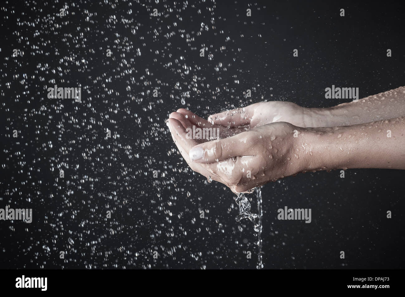 Hands cupping under shower Stock Photo Alamy