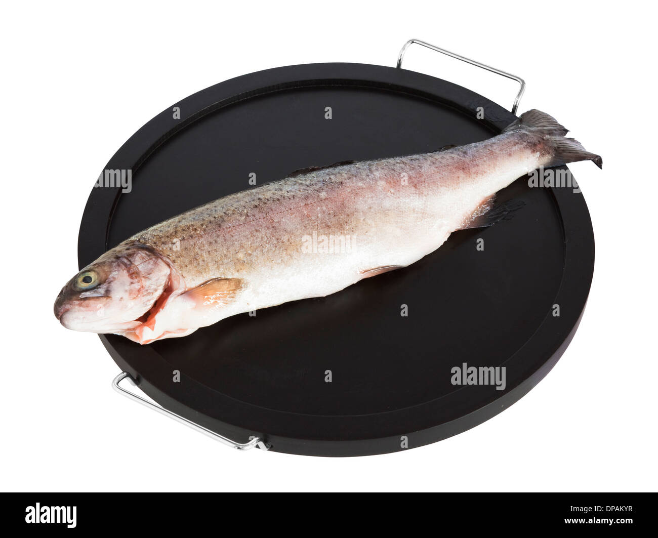 Trout on plate isolated with clipping path Stock Photo