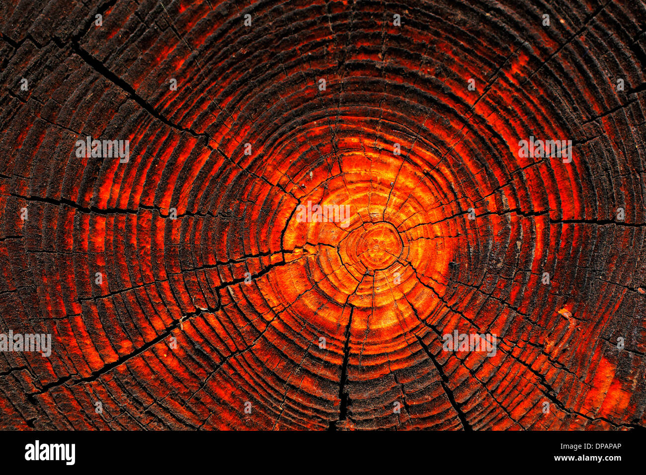 Natural details of sun dried wood of a 100 years old barn Stock Photo