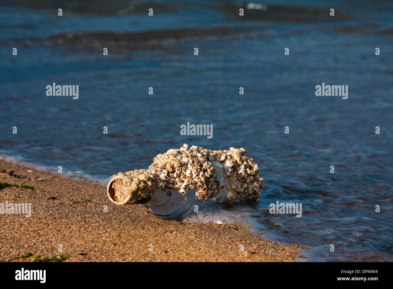 Old bottle at the beach. Survivor message. Stock Photo