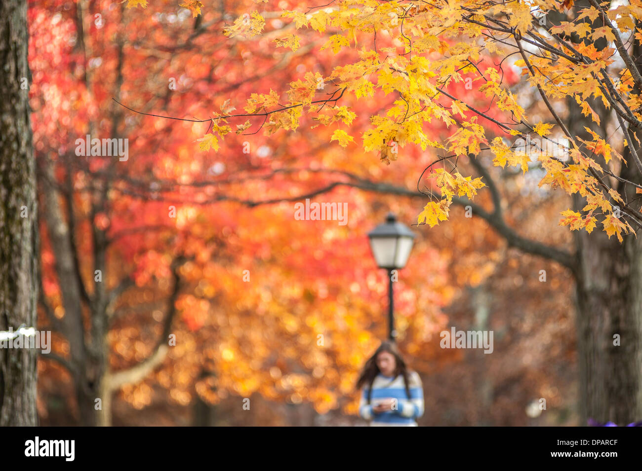 Kenyon College campus, Gambier, OH Stock Photo