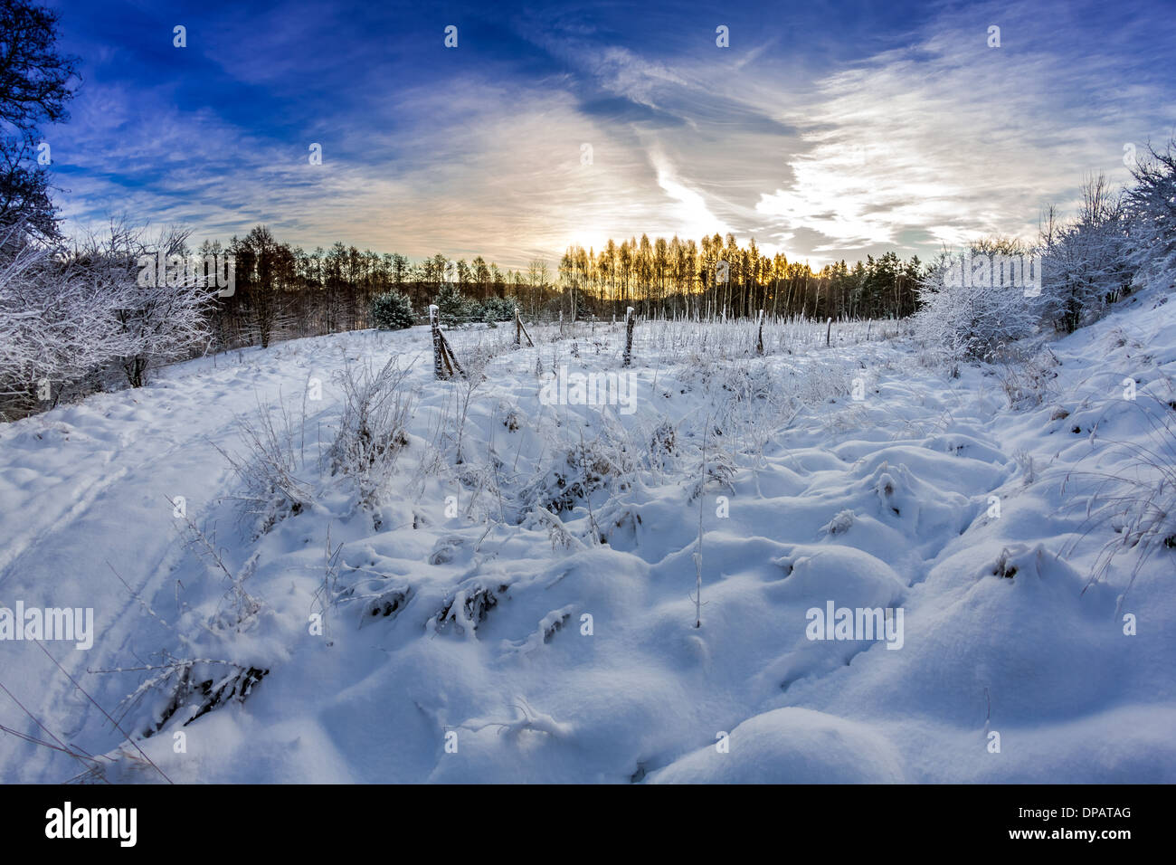 Forest path covered with snow at sunrise Stock Photo - Alamy