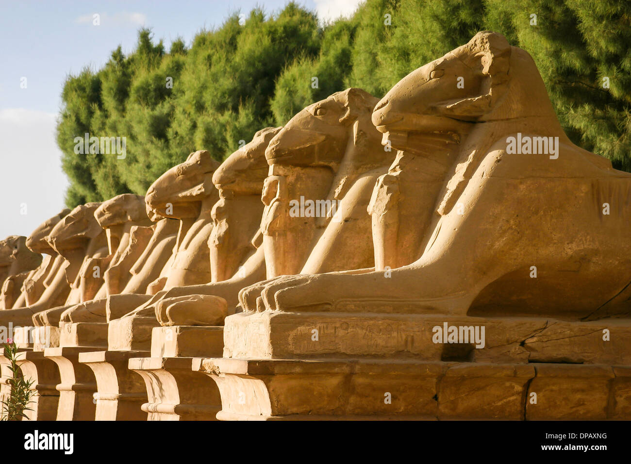 Lions in ancient egypt hires stock photography and images Alamy