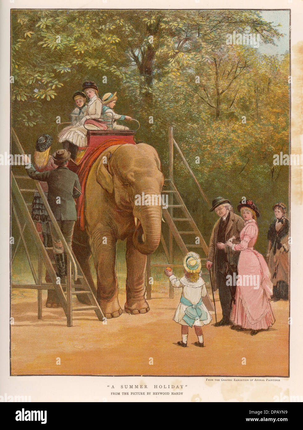 Zoo elephant ride britain hi-res stock photography and images - Alamy
