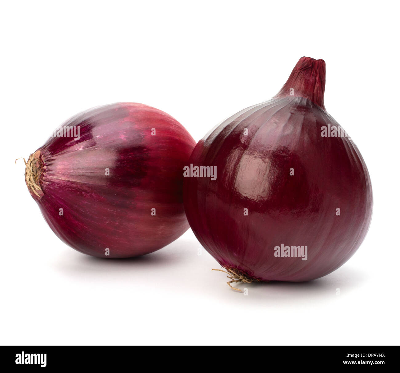 Red onion tuber isolated on white background Stock Photo Alamy