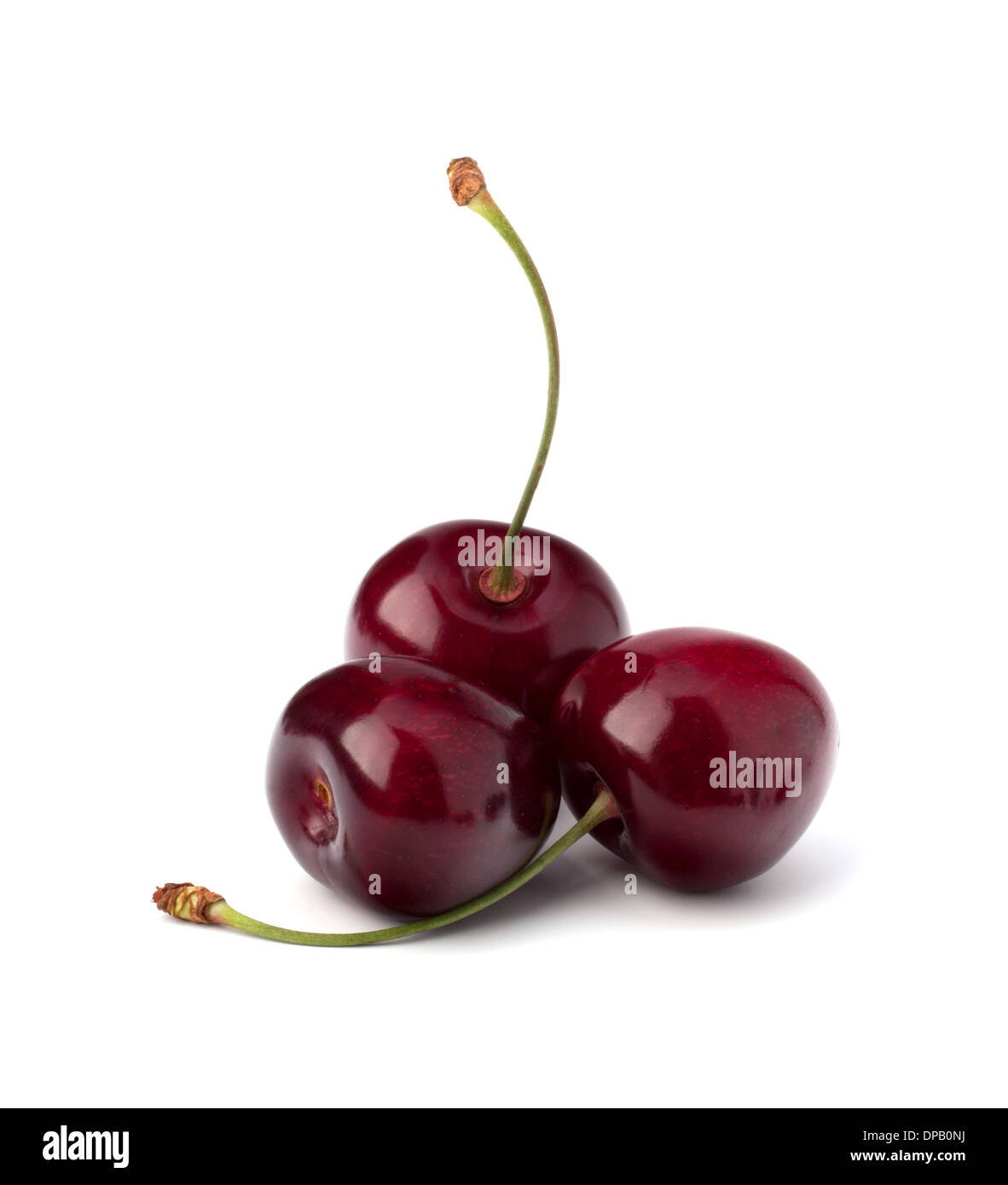 Вишенка на прозрачном фоне для фотошопа. Черешня. Вишня без фона. Черешня на белом фоне. Вишня картинка для детей на прозрачном фоне.