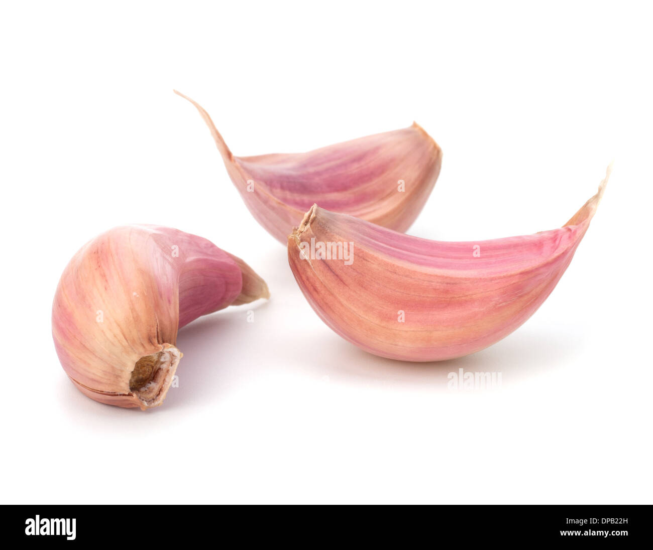 Garlic clove isolated on white background Stock Photo - Alamy