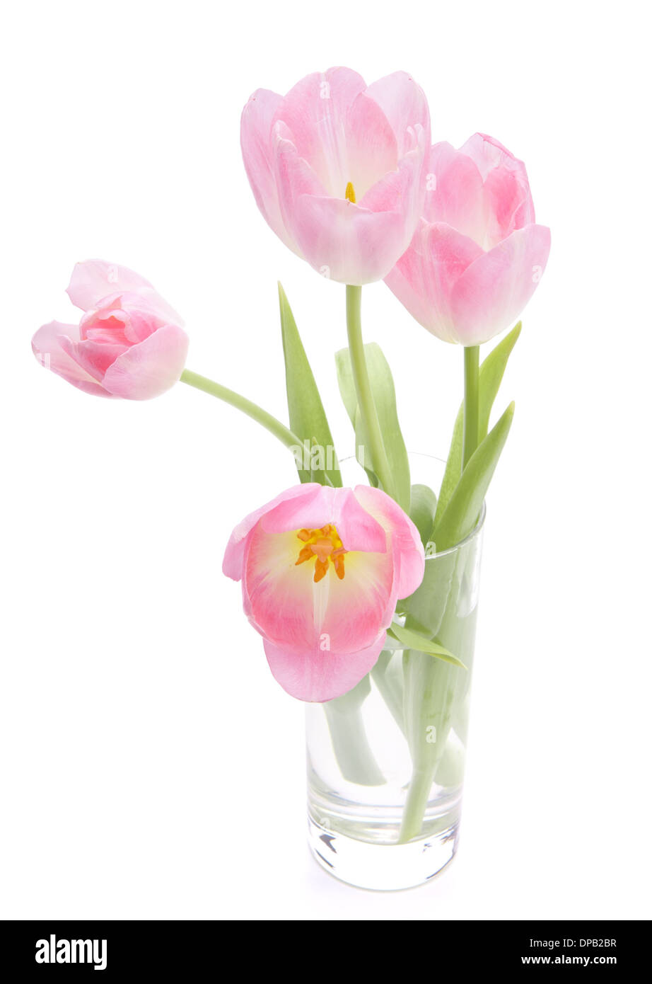 Pink tulips bouquet in vase isolated on white background Stock Photo ...