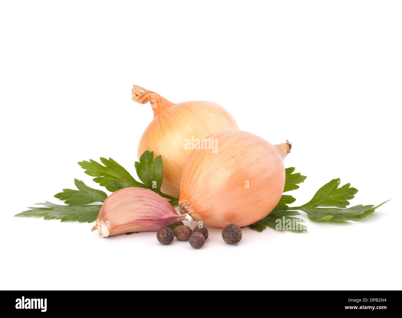 Onion and garlic clove isolated on white background Stock Photo - Alamy