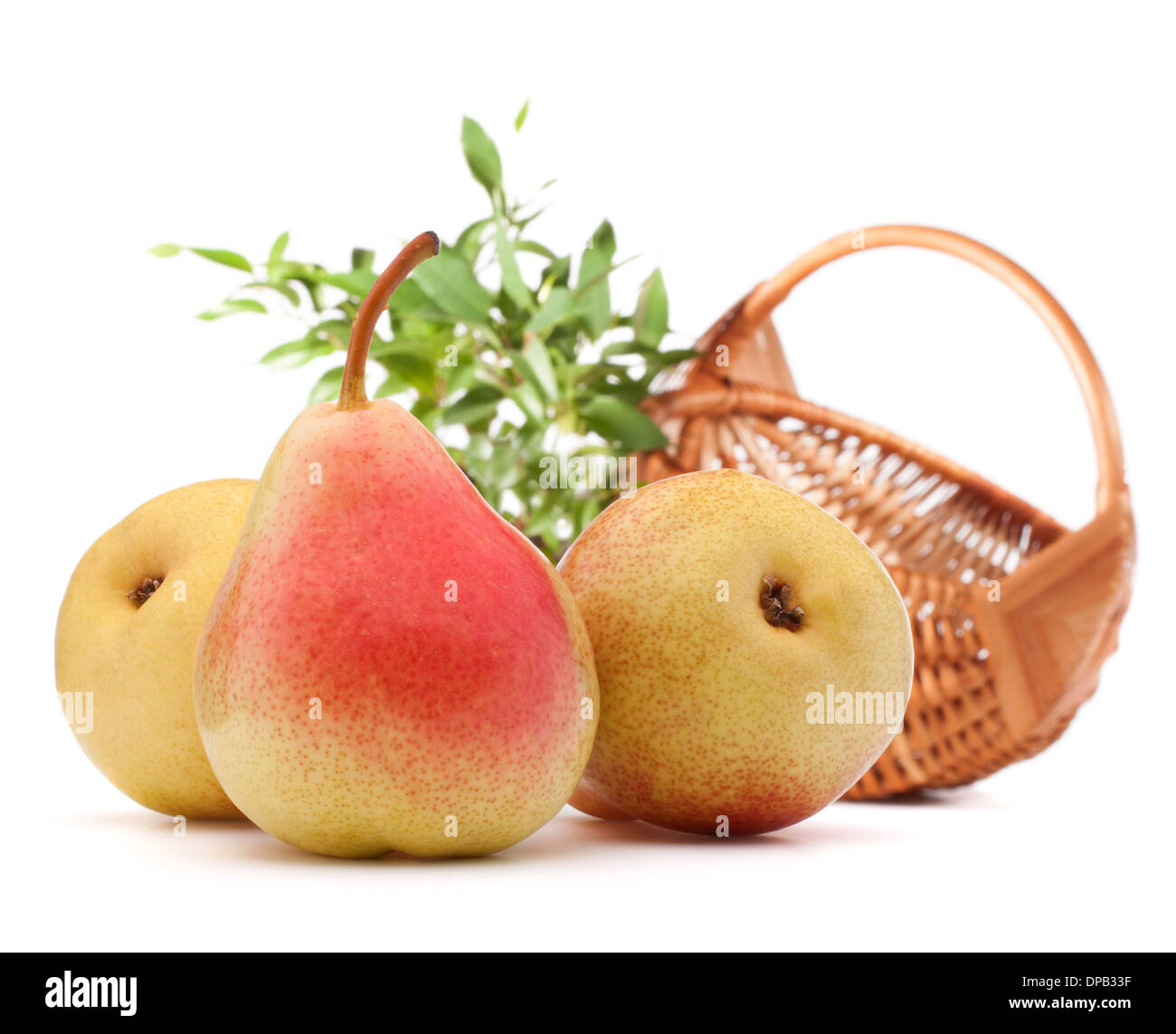 Apples and hotsell pears moses basket