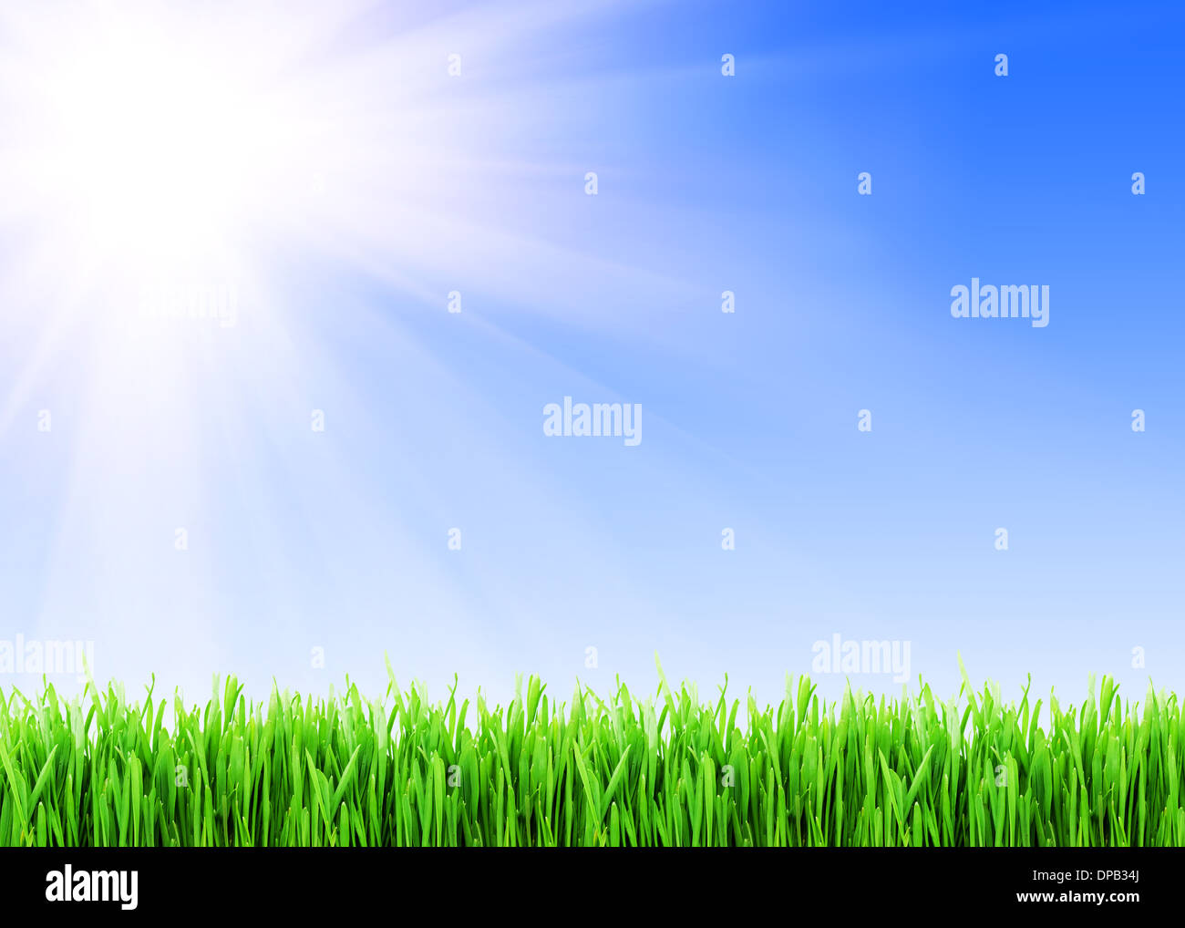 Cut the grass hi-res stock photography and images - Alamy