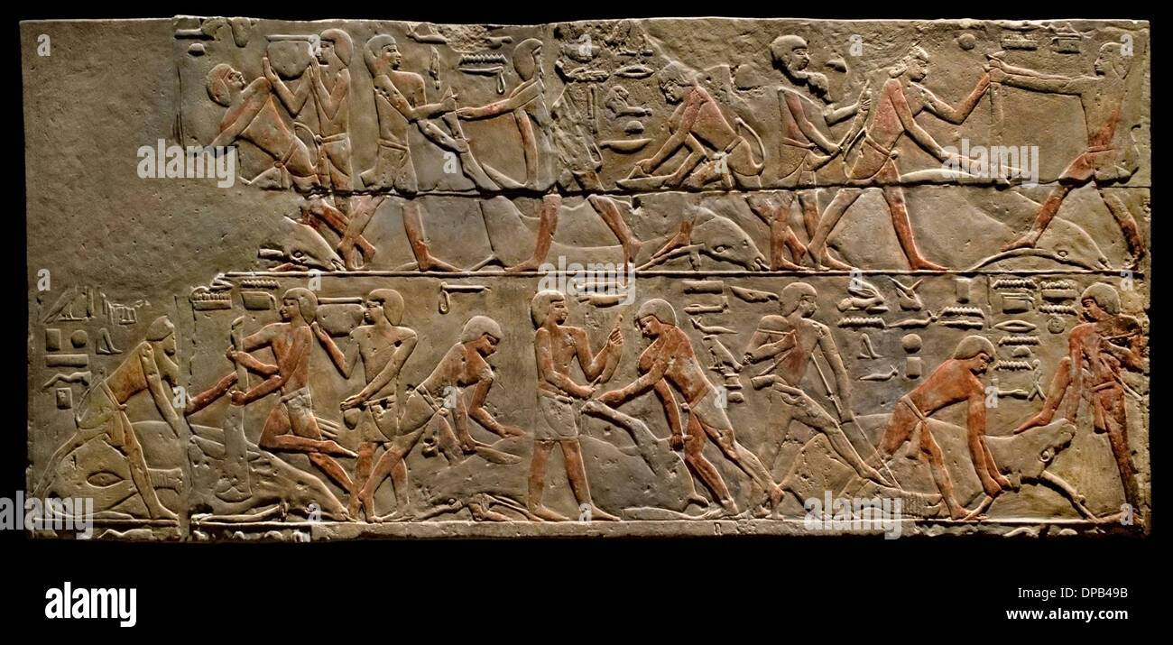 Relief cattle butchering scene  2300 BC Old Kingdom Sakkara tomb of Nianchnesut Egypt Egyptian Stock Photo
