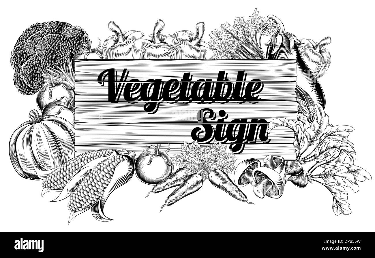 A vintage retro woodcut print or etching style vegetable wooden sign illustration Stock Photo