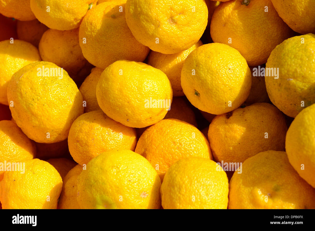 Yuzu frui in Japan. Stock Photo