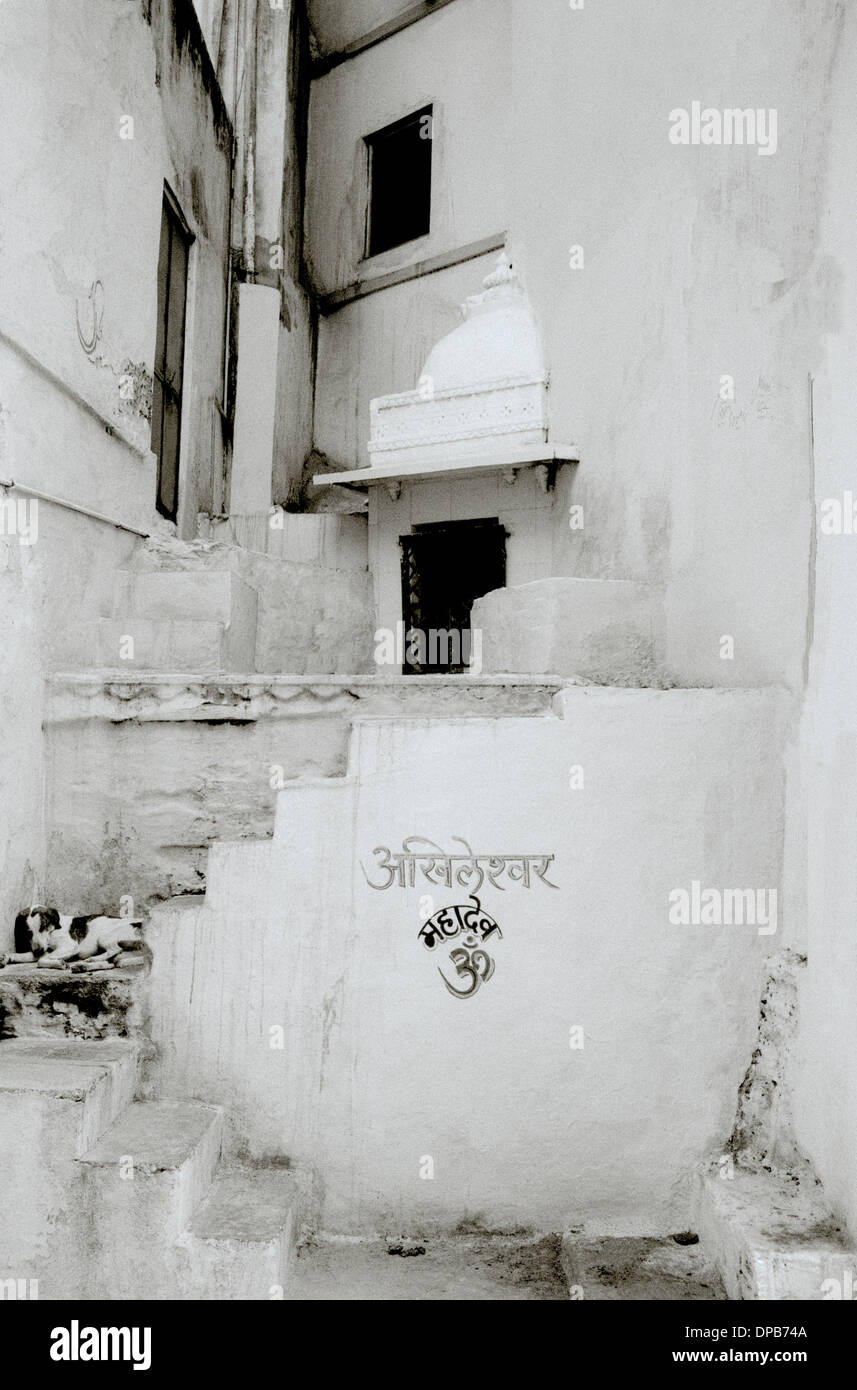 Travel Photography - Sleeping dog in a sleepy street scene in the old town in Udaipur in Rajasthan in India in South Asia. Reportage Photojournalism Stock Photo