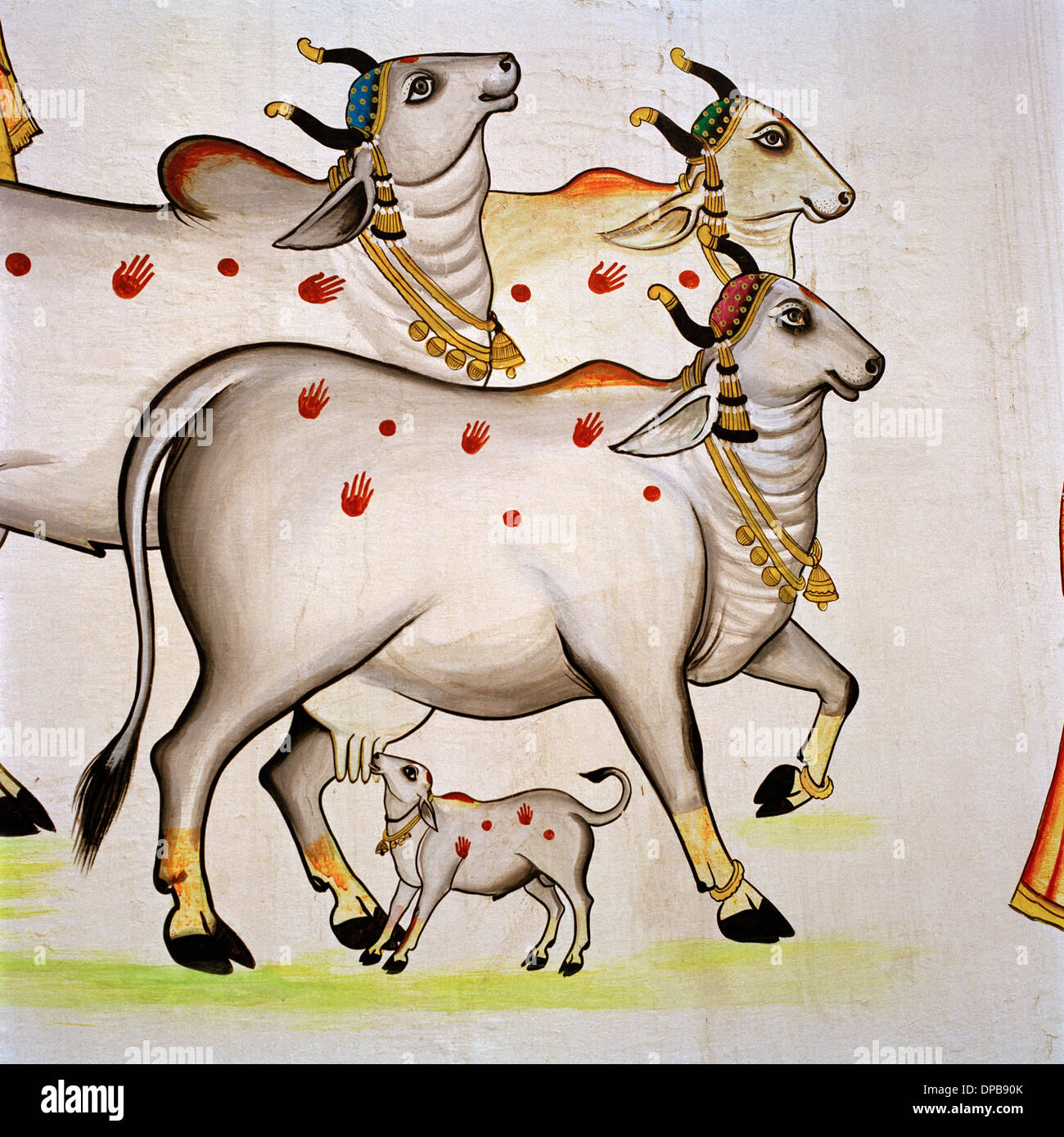 Street Hindu art in Udaipur in Rajasthan in India in South Asia. Image Religious Religion Cow Cows Sacred Travel Wanderlust Stock Photo