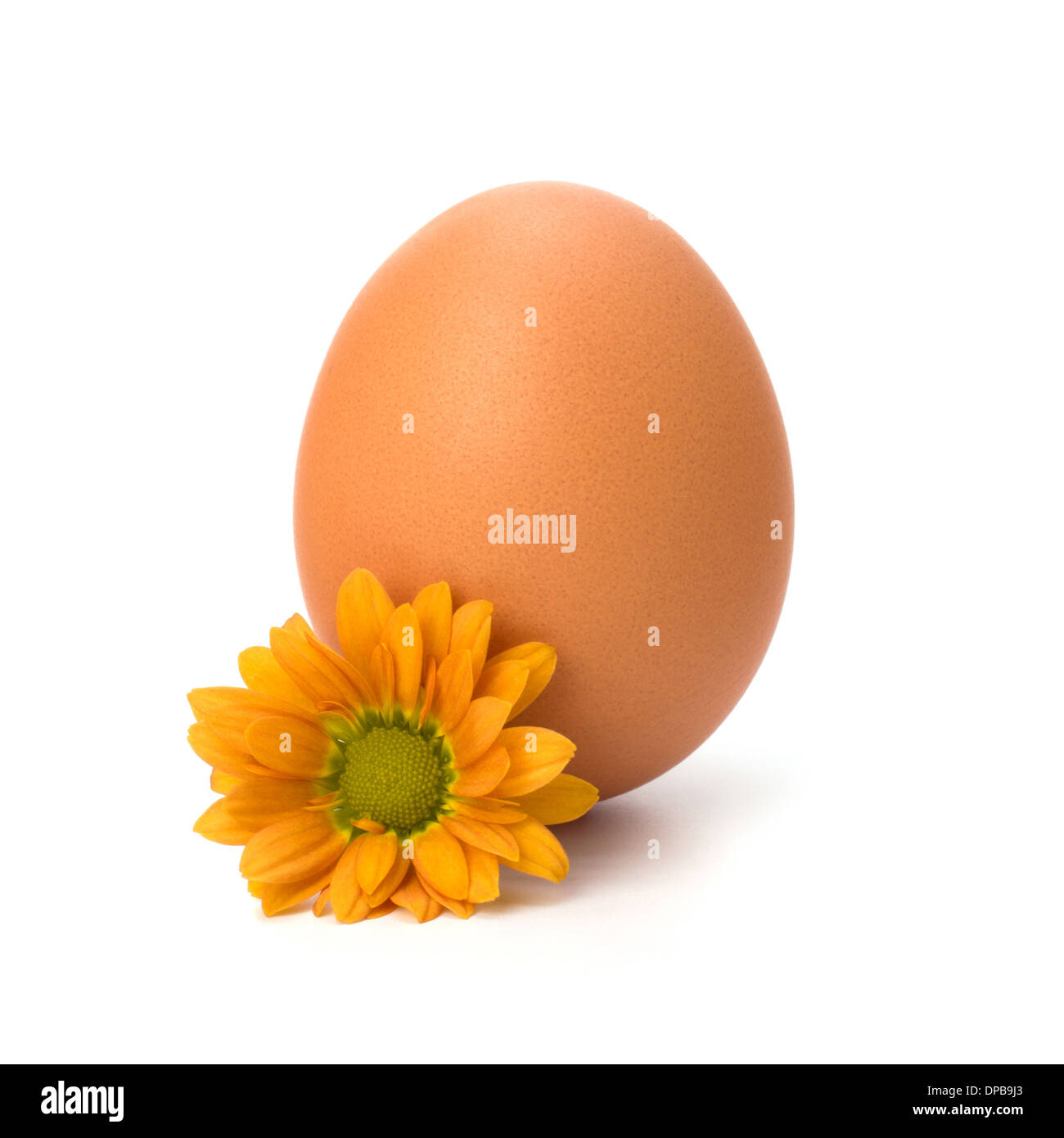 Easter egg isolated on white background Stock Photo - Alamy