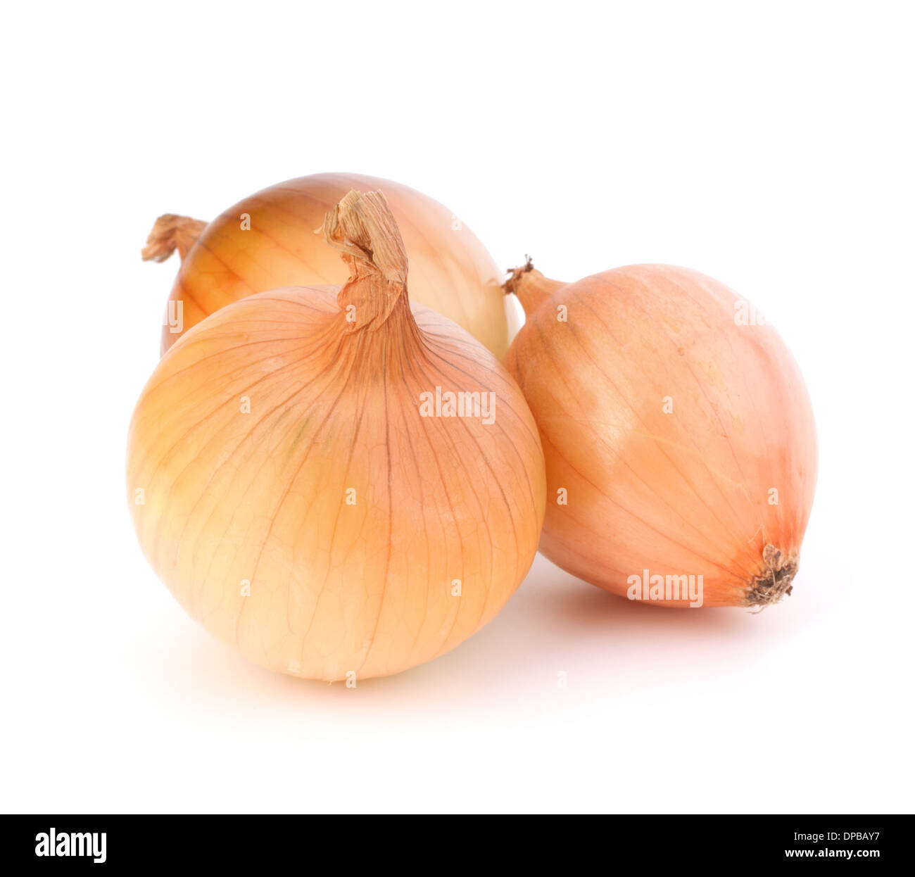 Onion isolated on white background Stock Photo - Alamy