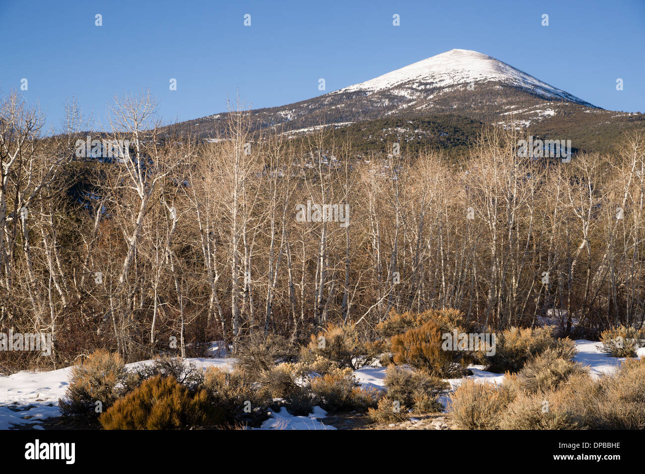 Winter landscape in Great Basin National Park Stock Photo
