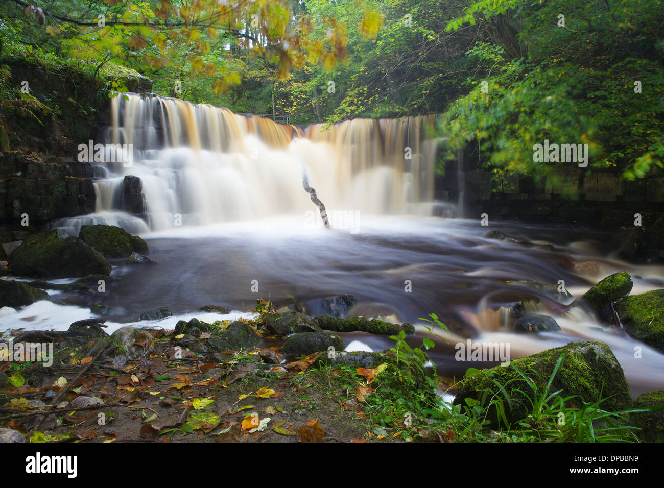 Whitfield Gill Force, nr Askrigg, North Yorkshire, England. Stock Photo