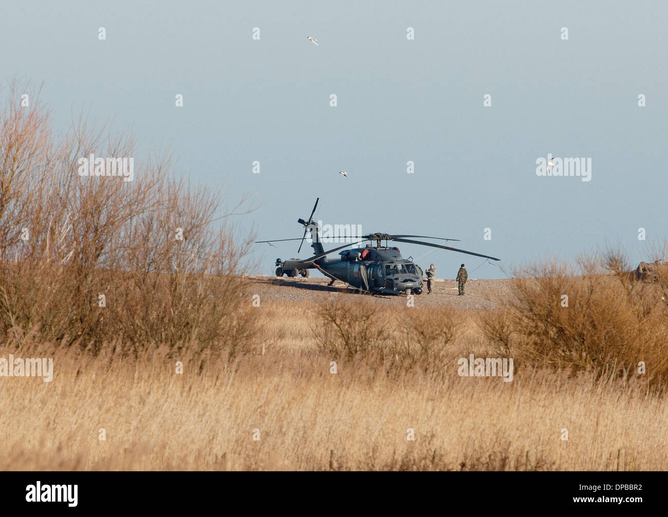 Cley, Norfolk, UK. 11th January 2014. USAF HH-60G Pave Hawk helicopter at  site on the North Norfolk coast at Cley where another crashed leaving four US airmen dead Credit:  Tim James/The Gray Gallery/Alamy Live News Stock Photo